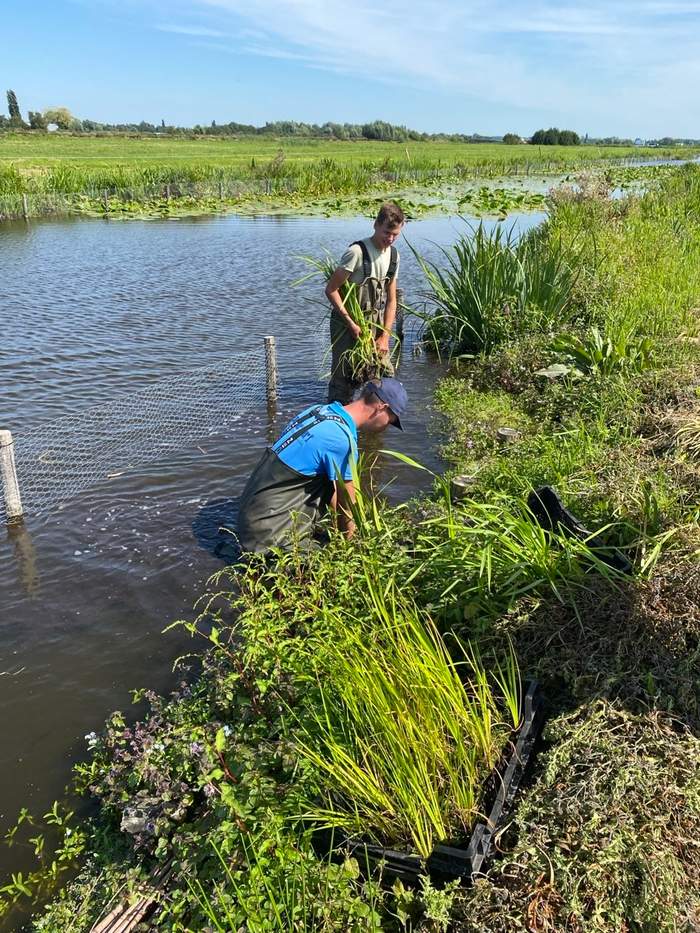   Van der Werf Waterplantenspecialist
