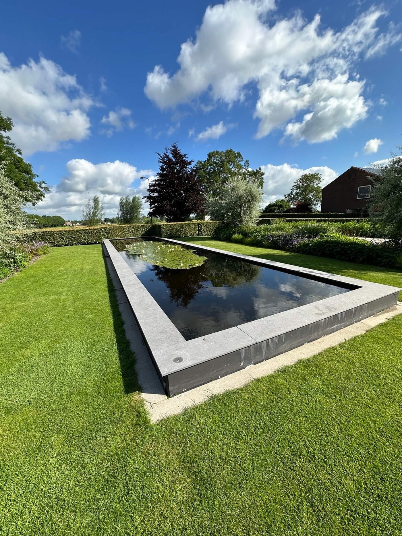 Onderhoud van een moderne vijver met zuurstofplanten en witte waterlelies  Van der Werf Waterplantenspecialist