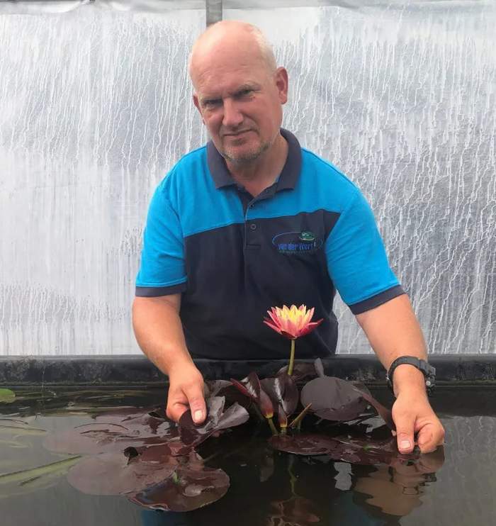   Van der Werf Waterplantenspecialist