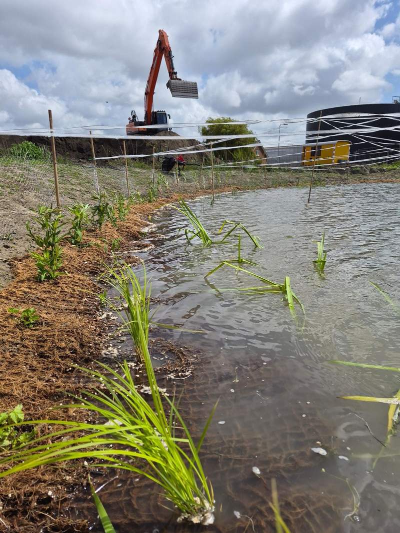 Natuurvriendelijke oever aangelegd bij De Rel  Van der Werf Waterplantenspecialist