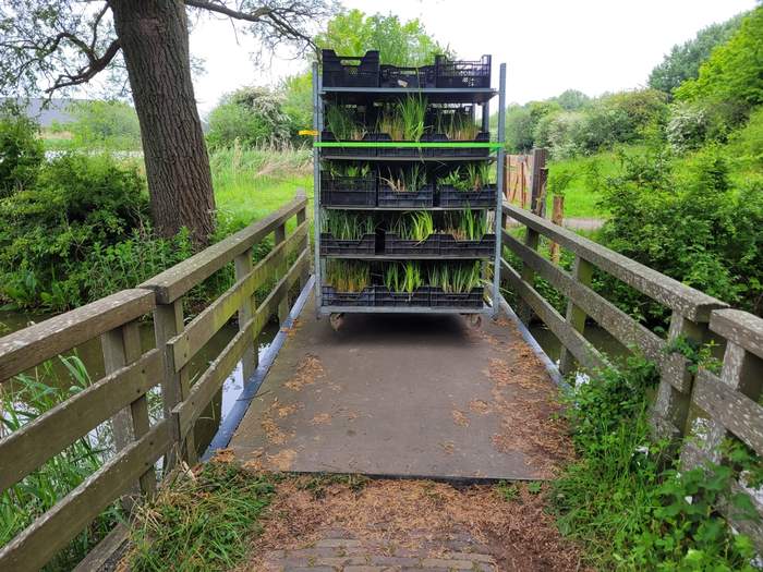   Van der Werf Waterplantenspecialist