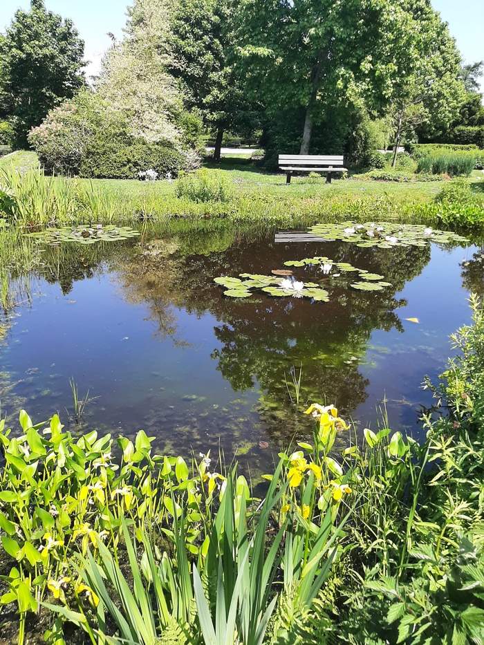   Van der Werf Waterplantenspecialist