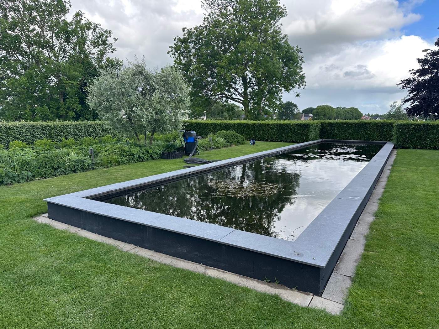 Onderhoud van een moderne vijver met zuurstofplanten en witte waterlelies  Van der Werf Waterplantenspecialist