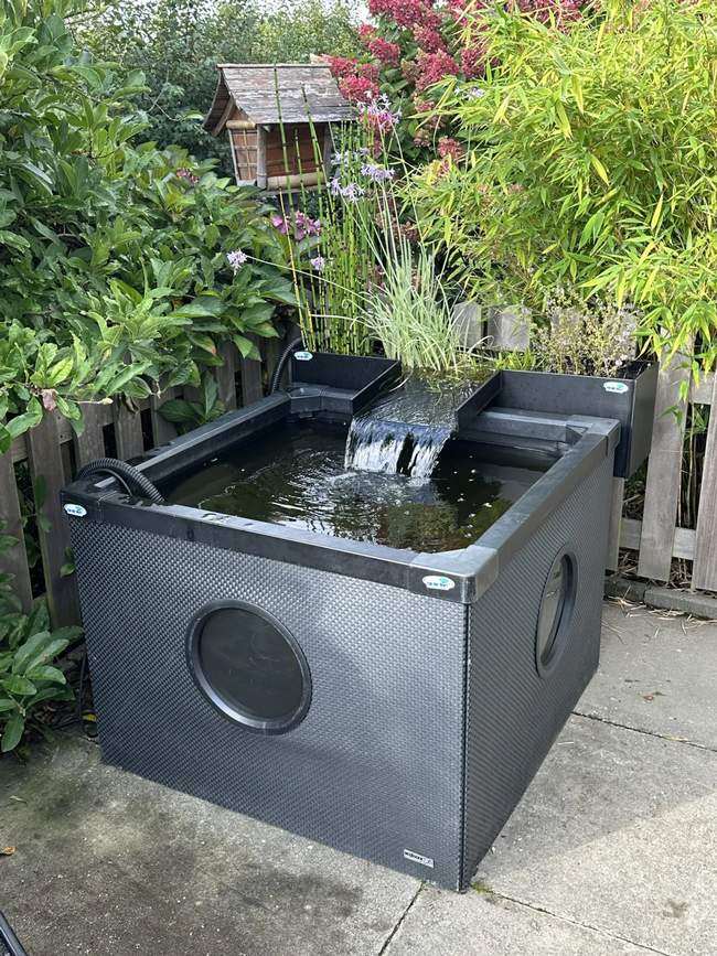Bovengrondse terrasvijver  Van der Werf Waterplantenspecialist