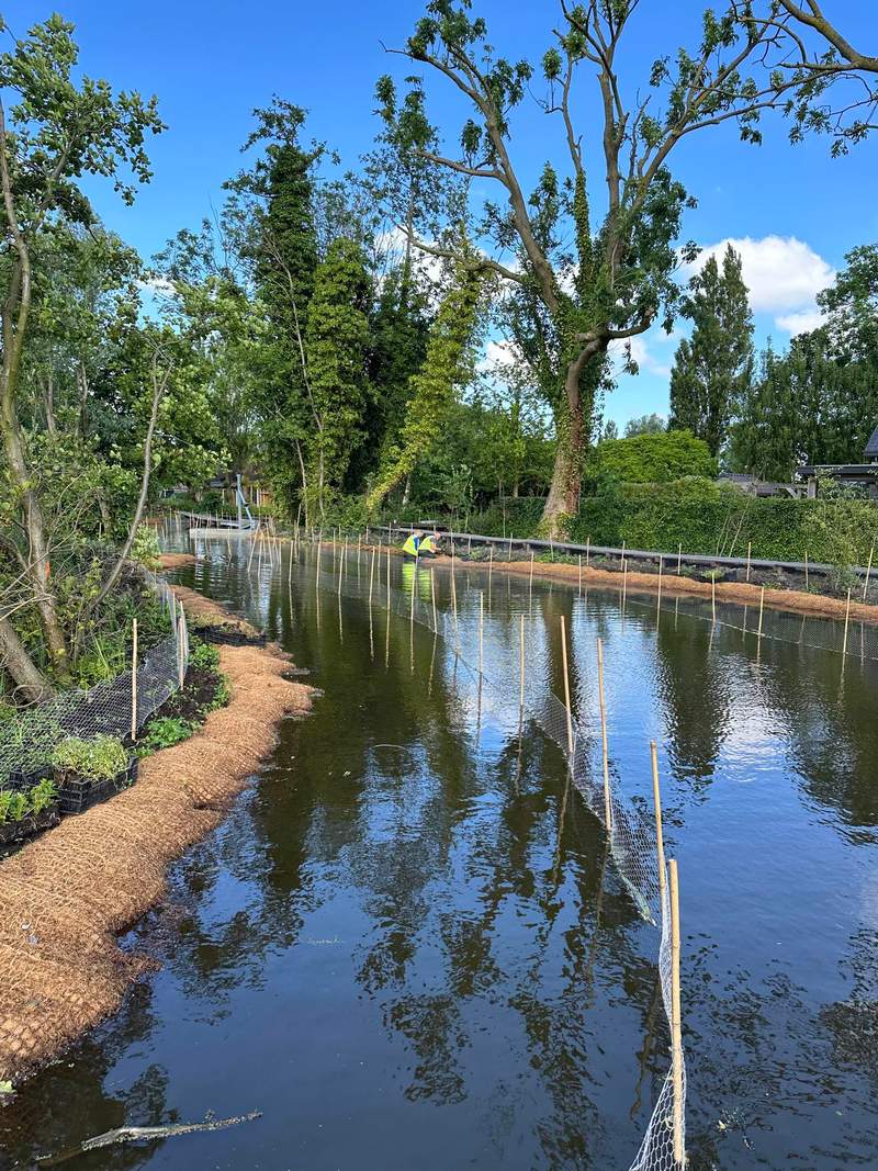Voedselbos met waterplanten  Van der Werf Waterplantenspecialist