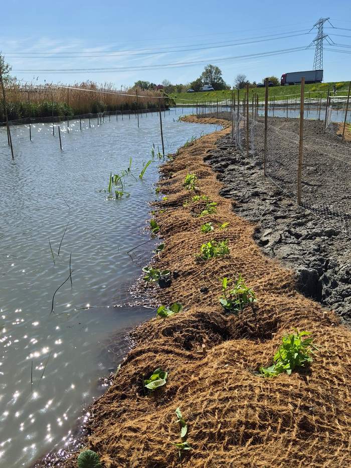   Van der Werf Waterplantenspecialist