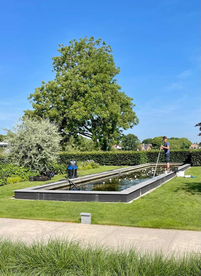   Van der Werf Waterplantenspecialist