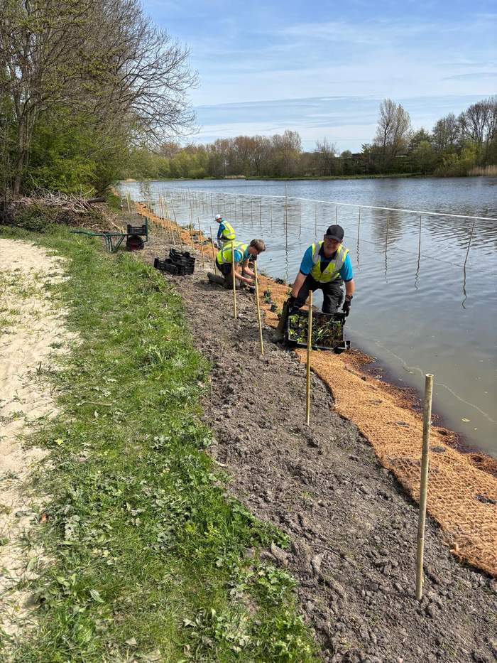   Van der Werf Waterplantenspecialist