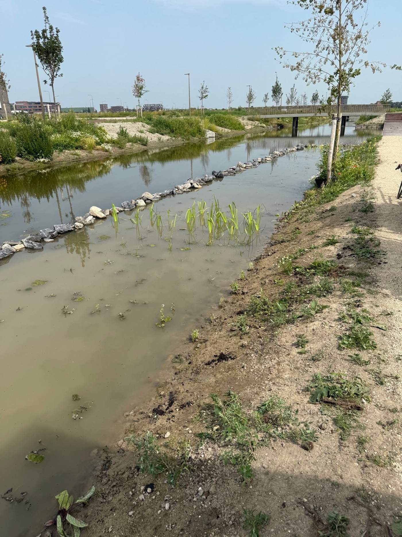 Aanleg van een natuurvriendelijke oever in nieuwbouwwijk Bergschenhoek  Van der Werf Waterplantenspecialist