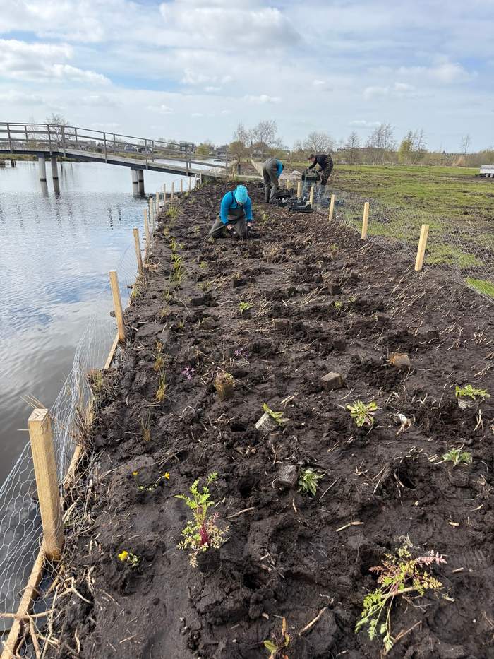   Van der Werf Waterplantenspecialist