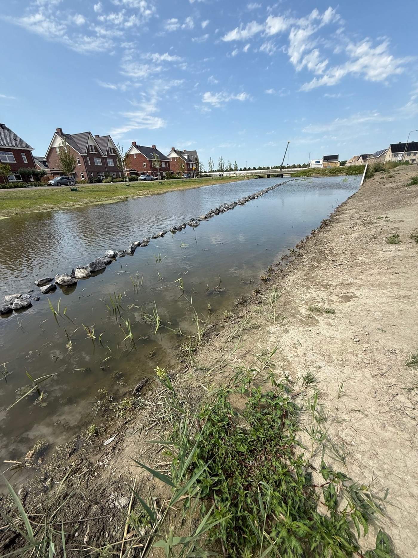 Aanleg van een natuurvriendelijke oever in nieuwbouwwijk Bergschenhoek  Van der Werf Waterplantenspecialist