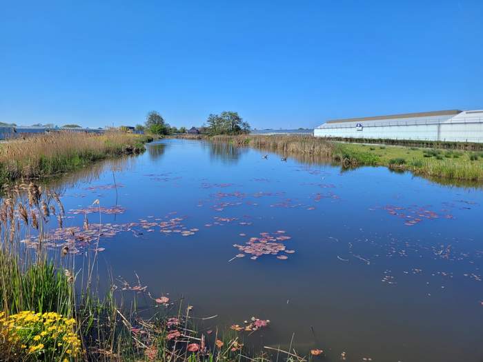   Van der Werf Waterplantenspecialist