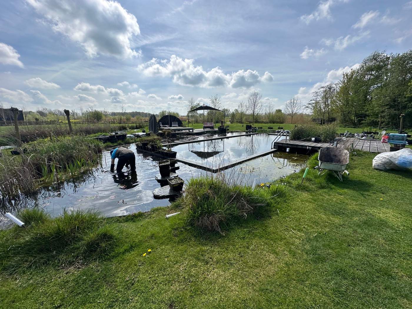 Zwemvijver op natuurlijke wijze filteren  Van der Werf Waterplantenspecialist