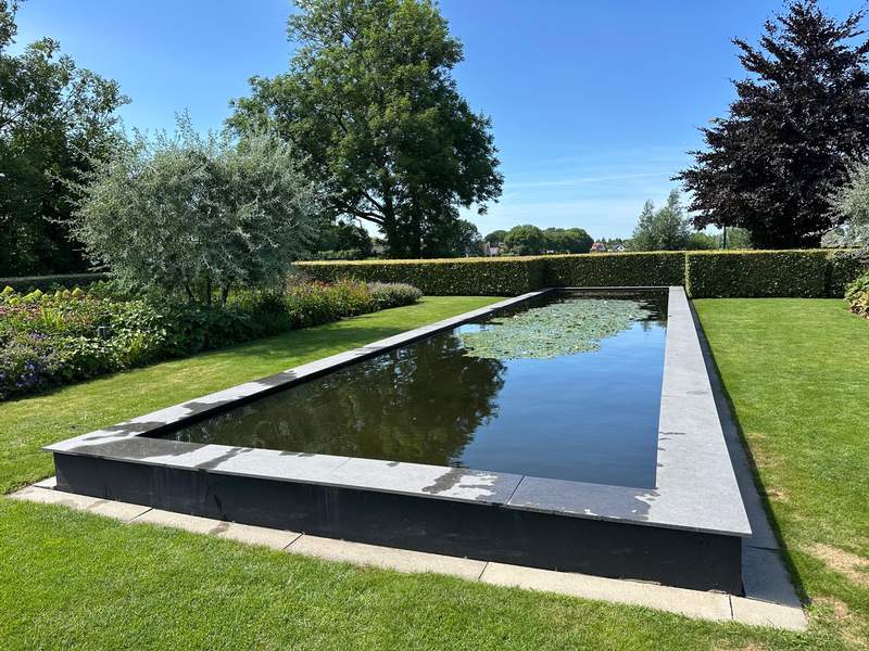 Onderhoud van een moderne vijver met zuurstofplanten en witte waterlelies  Van der Werf Waterplantenspecialist