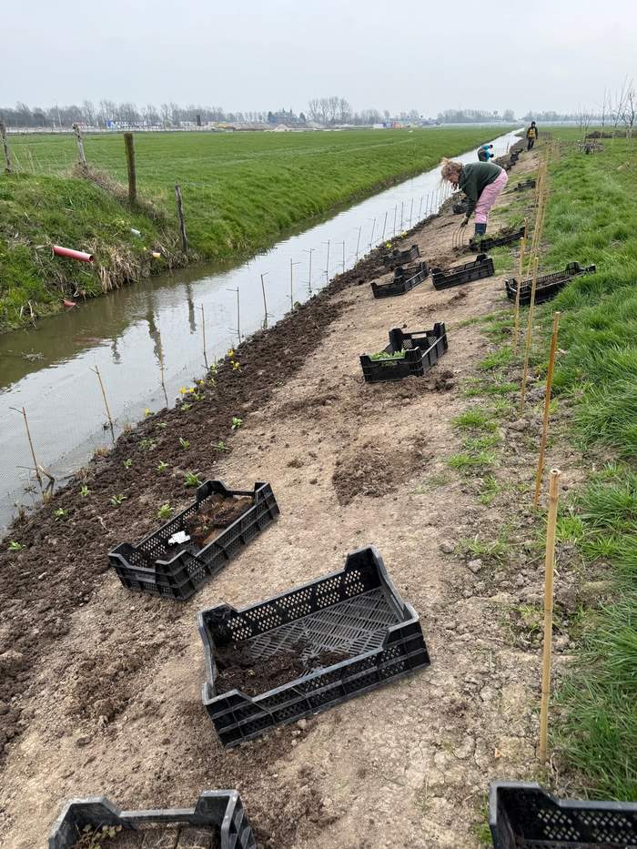   Van der Werf Waterplantenspecialist
