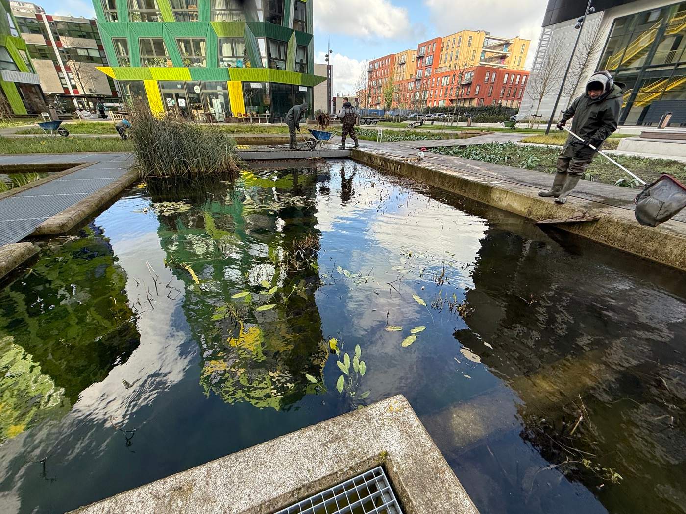 Onderhoud Bunkervijver in Utrecht  Van der Werf Waterplantenspecialist