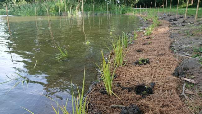 Kokosmatten en kokosrollen voor oeverbeplanting  Van der Werf Waterplantenspecialist
