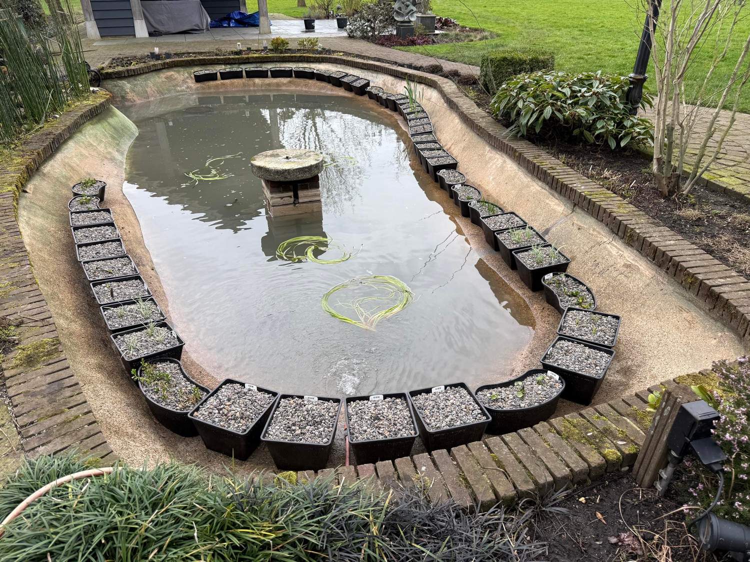   Van der Werf Waterplantenspecialist