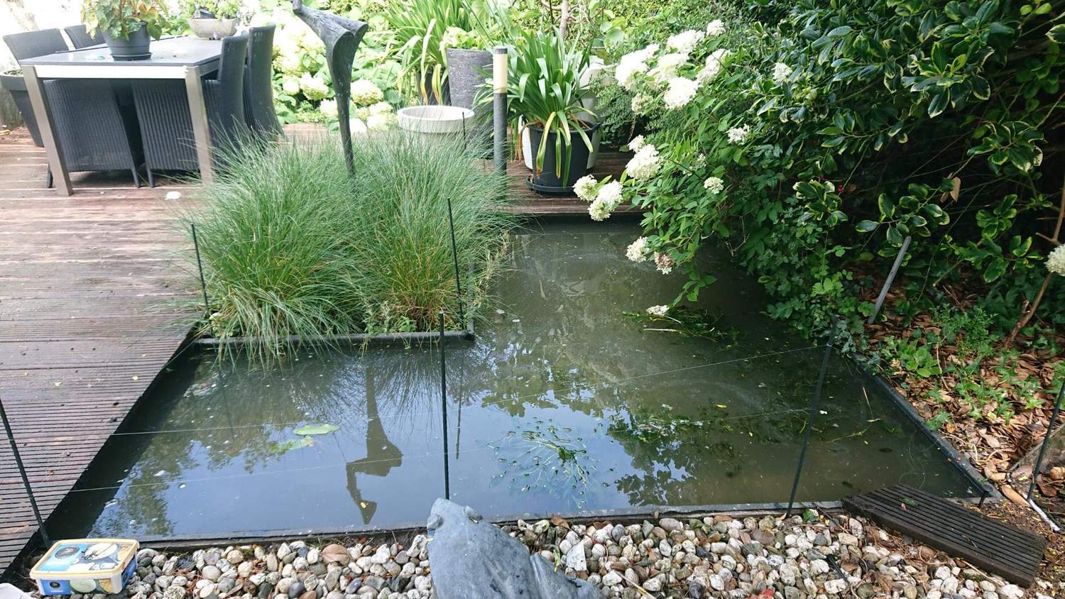   Van der Werf Waterplantenspecialist