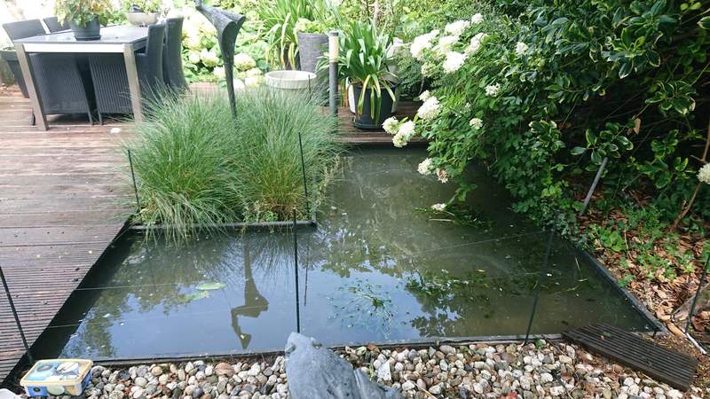 Waar moet je op letten bij het aanleggen van een vijver?  Van der Werf Waterplantenspecialist
