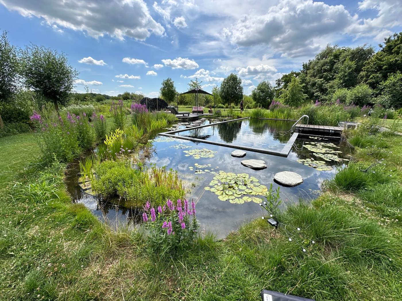 Zwemvijver op natuurlijke wijze filteren  Van der Werf Waterplantenspecialist