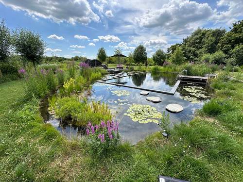 Zwemvijver op natuurlijke wijze filteren  Van der Werf Waterplantenspecialist