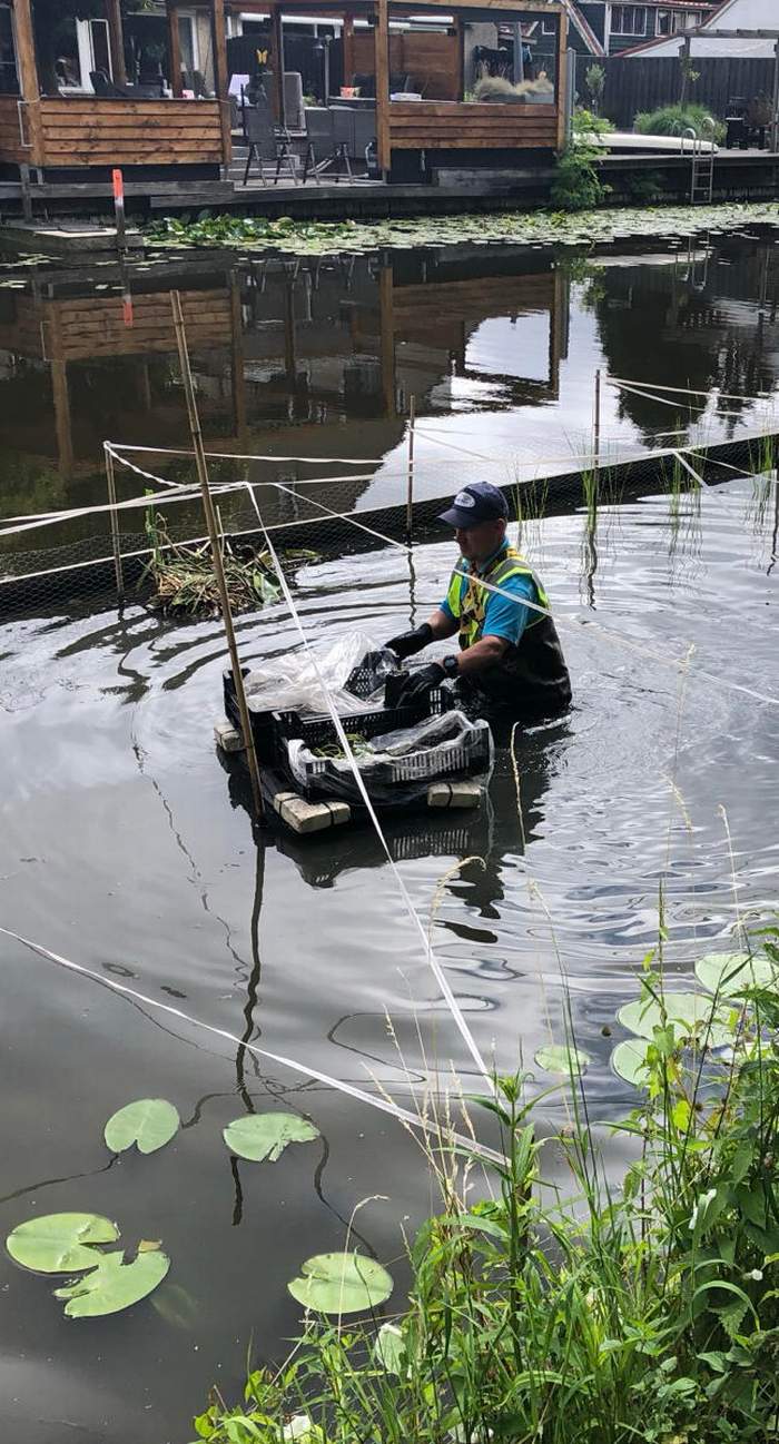   Van der Werf Waterplantenspecialist